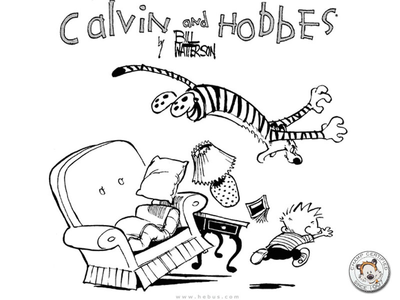 Calvin and Hobbes chaos