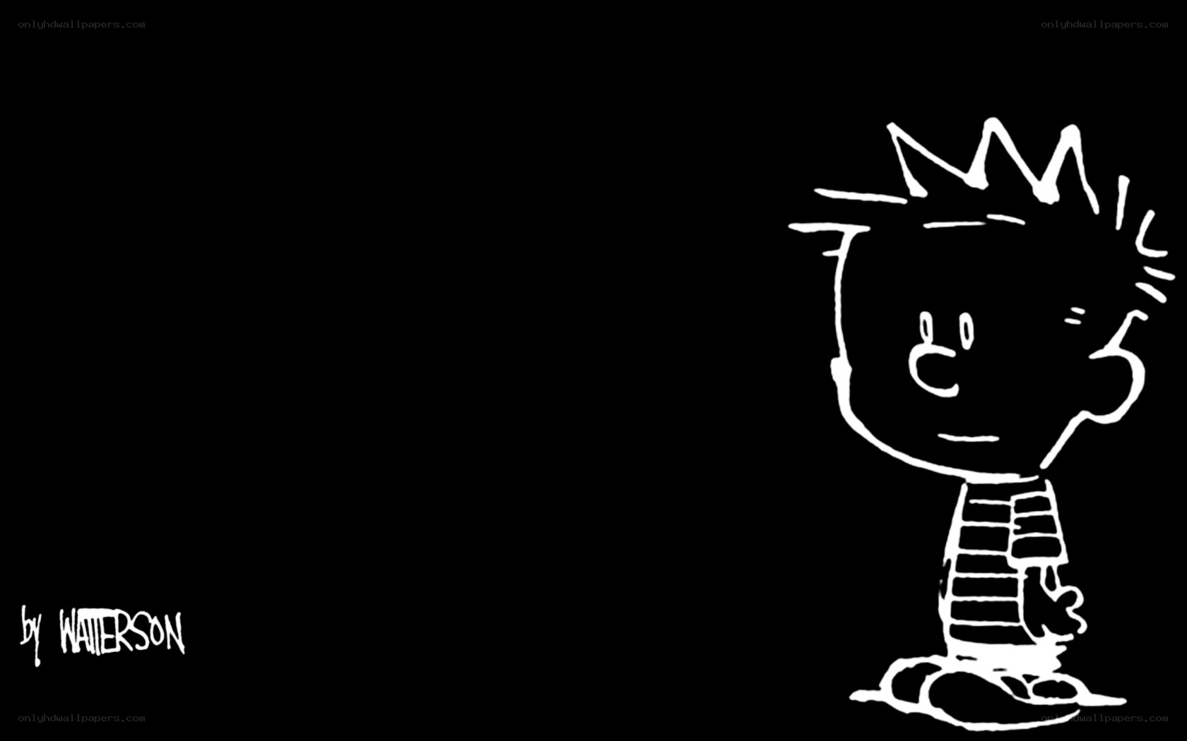 Calvin and Hobbes character