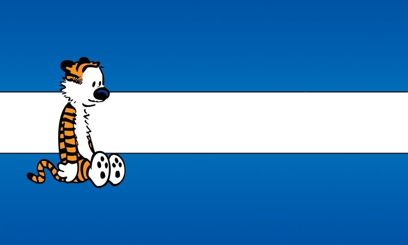 Calvin and Hobbes character