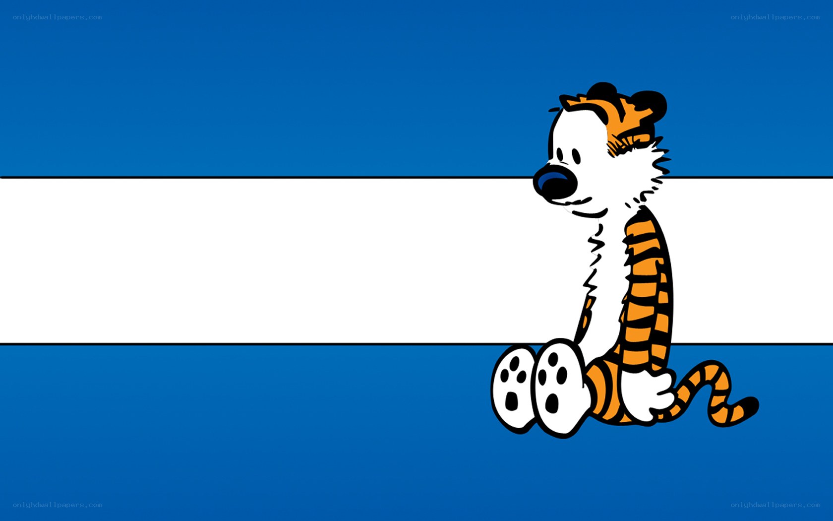 Calvin and Hobbes character