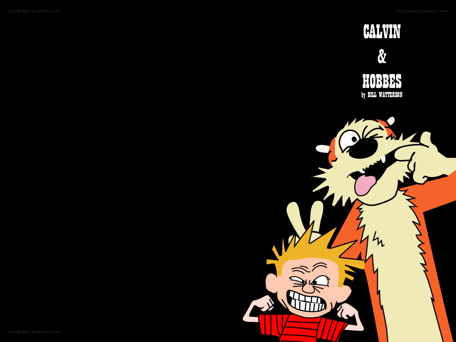 Calvin and Hobbes characters