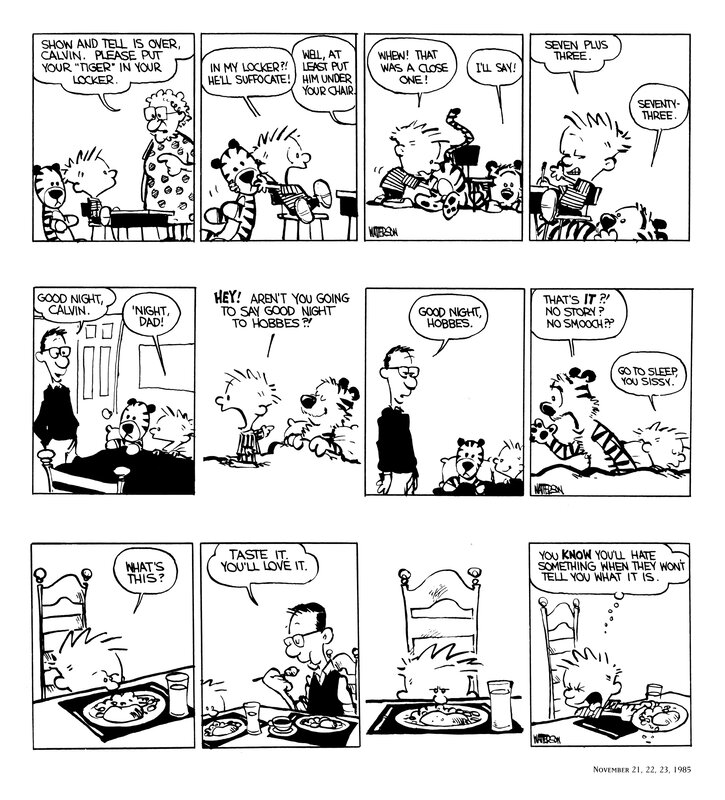 Calvin and Hobbes Comic — Black, Humorous, Night, Tiger