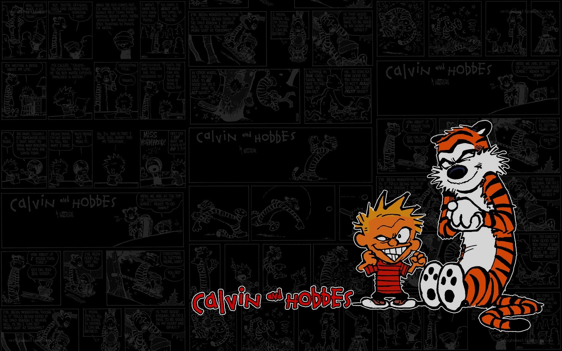 Calvin and Hobbes comic collage