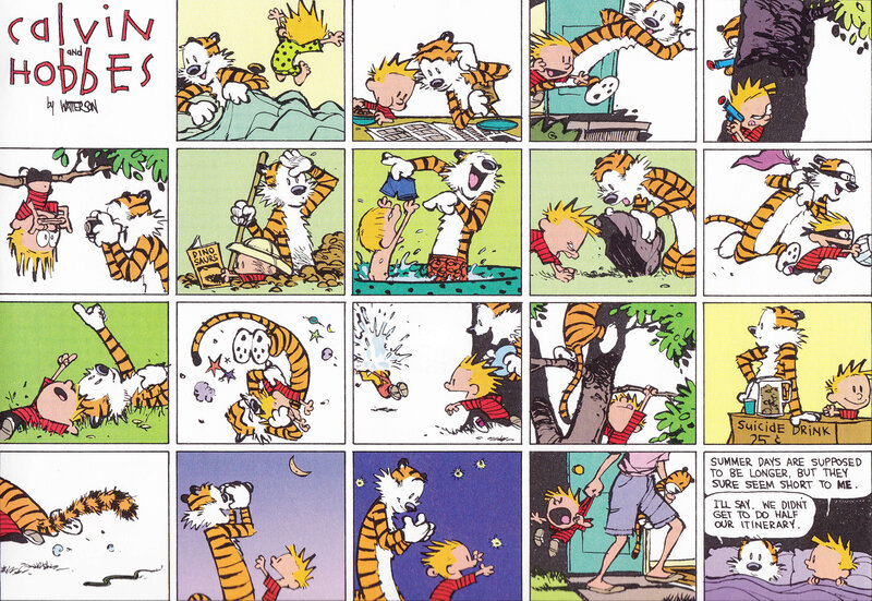 Calvin and Hobbes comic strip