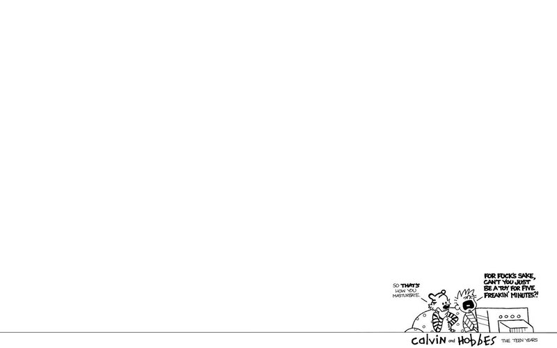 Calvin and Hobbes comic strip