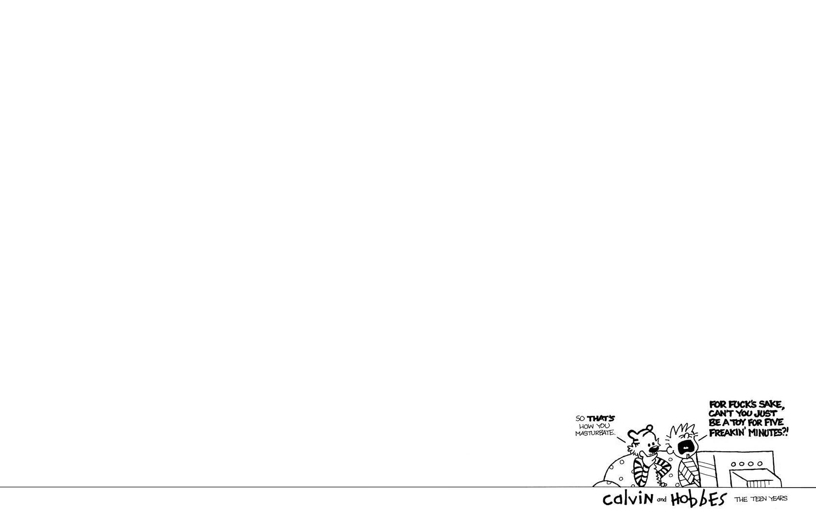 Calvin and Hobbes comic strip