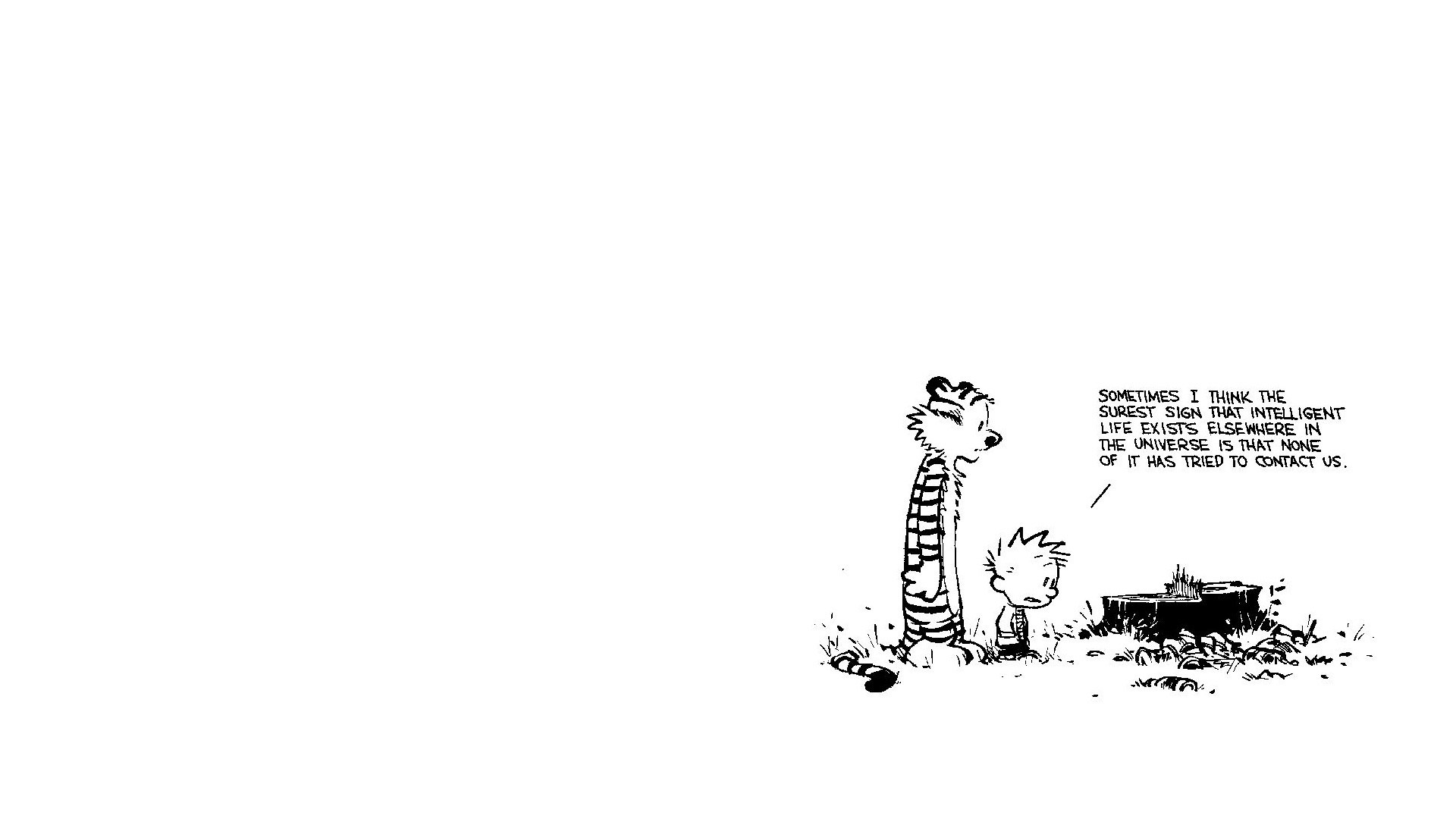 Calvin and Hobbes comic strip