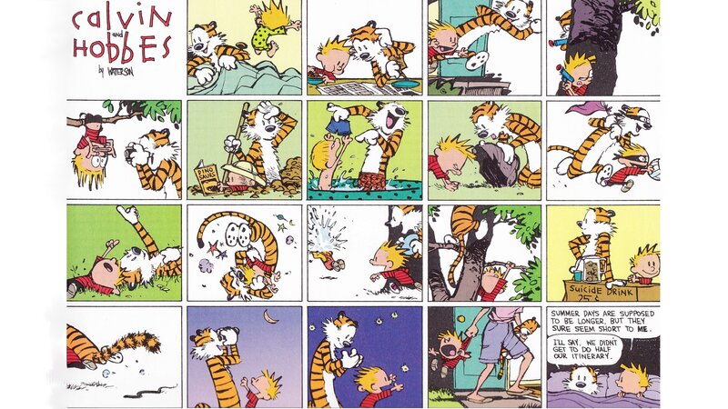 Calvin and Hobbes comic strip