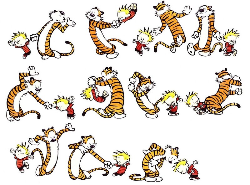Calvin and Hobbes comic strip