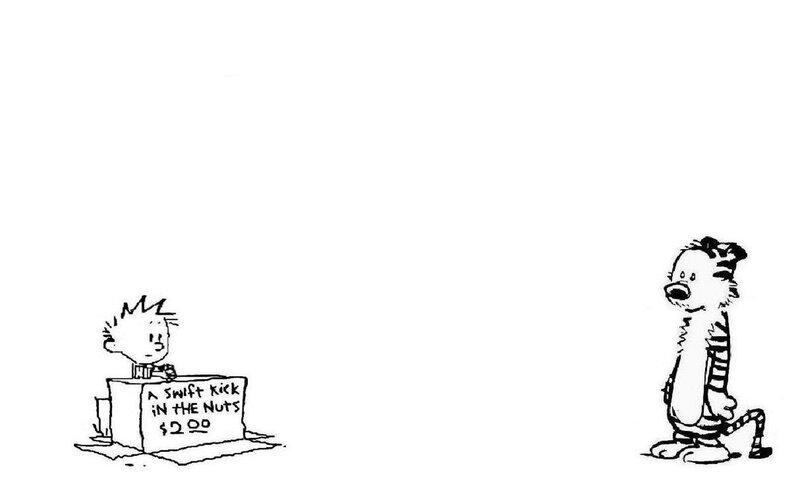 Calvin and Hobbes comic strip