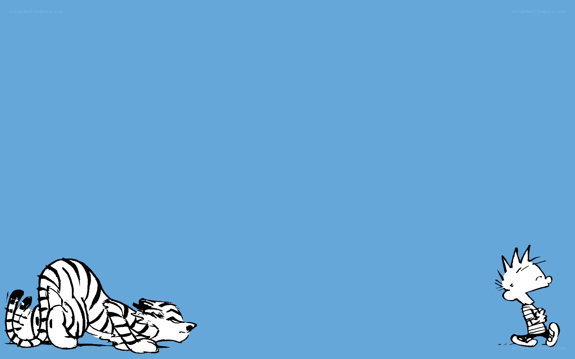 Calvin and Hobbes comic strip