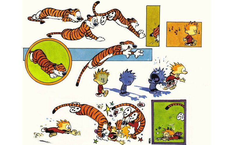 Calvin and Hobbes comic strip