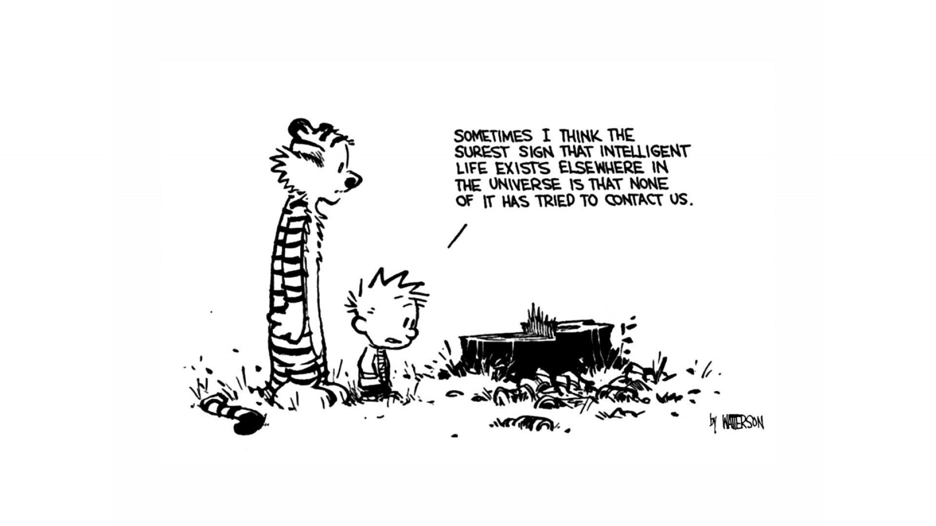 Calvin and Hobbes comic strip