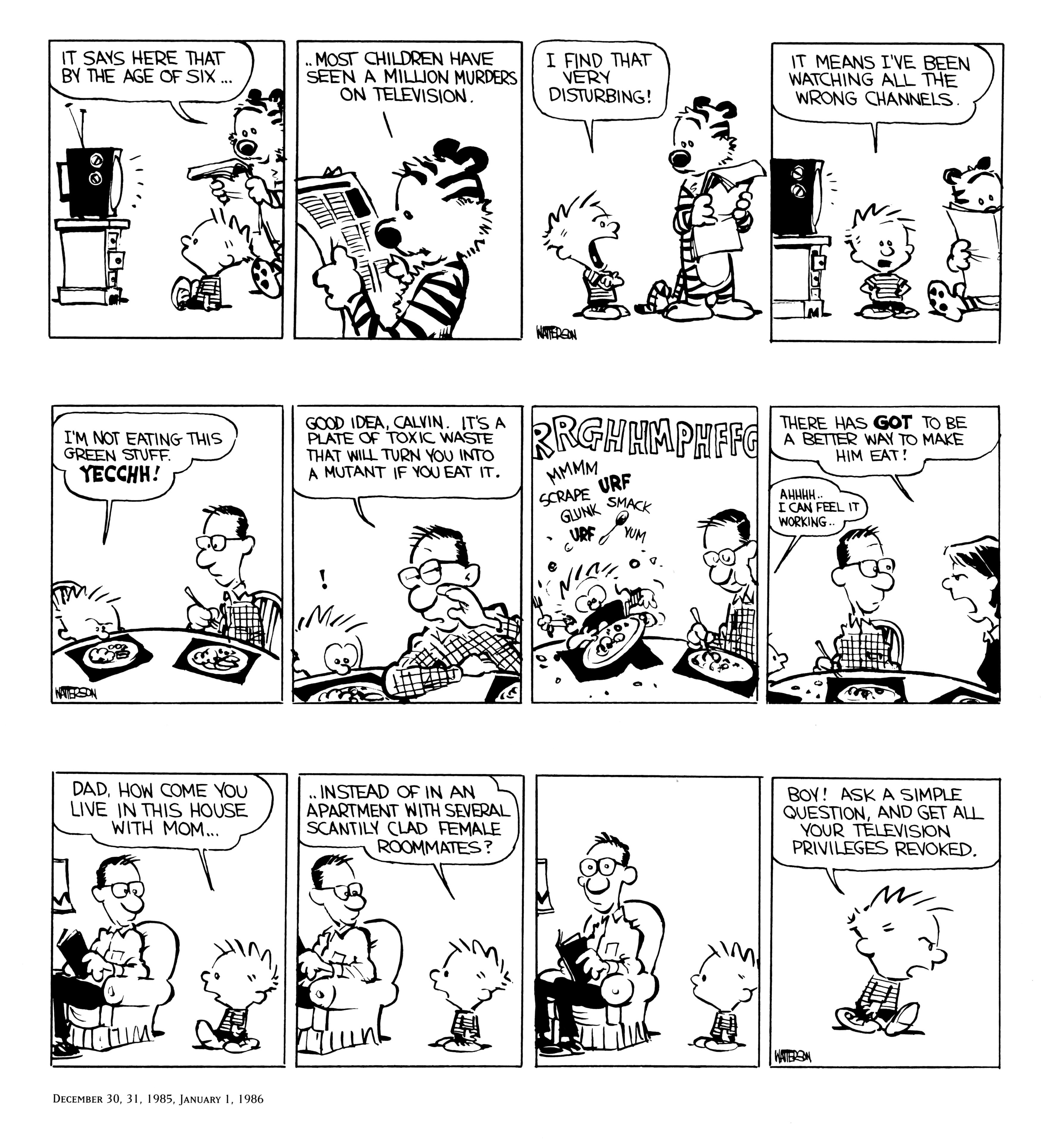 Calvin and Hobbes comic strip