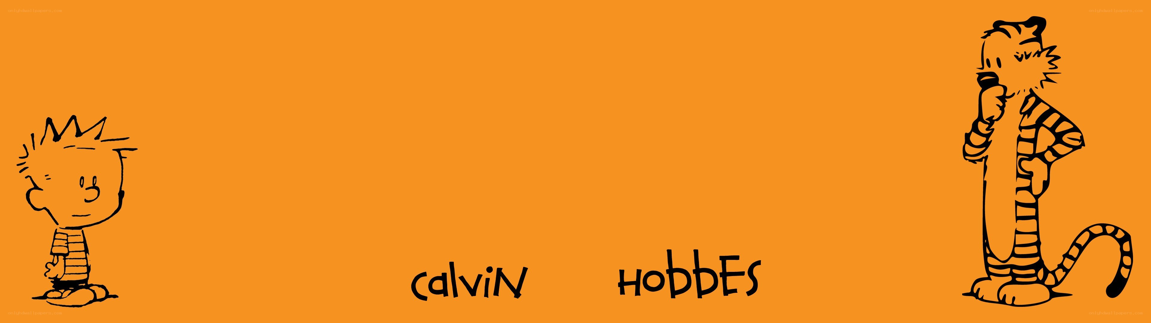 Calvin and Hobbes comic strip