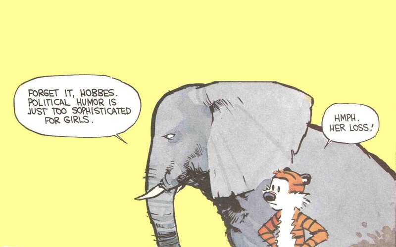 Calvin and Hobbes comic strip