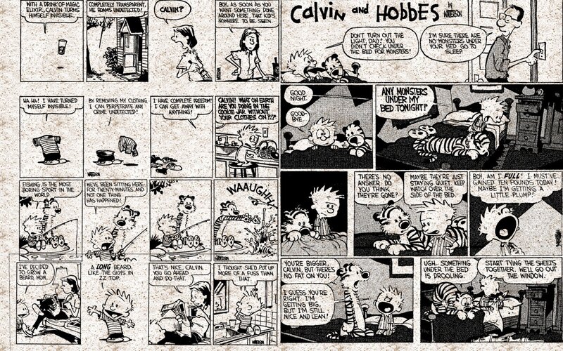 Calvin and Hobbes Comic Strip — Black, Humorous