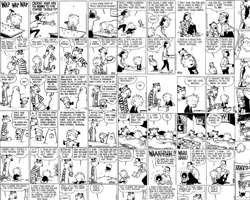 Calvin and Hobbes Comic Strip — Black