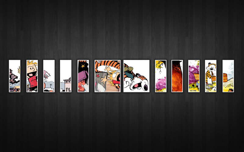 Calvin and Hobbes comic strip collection