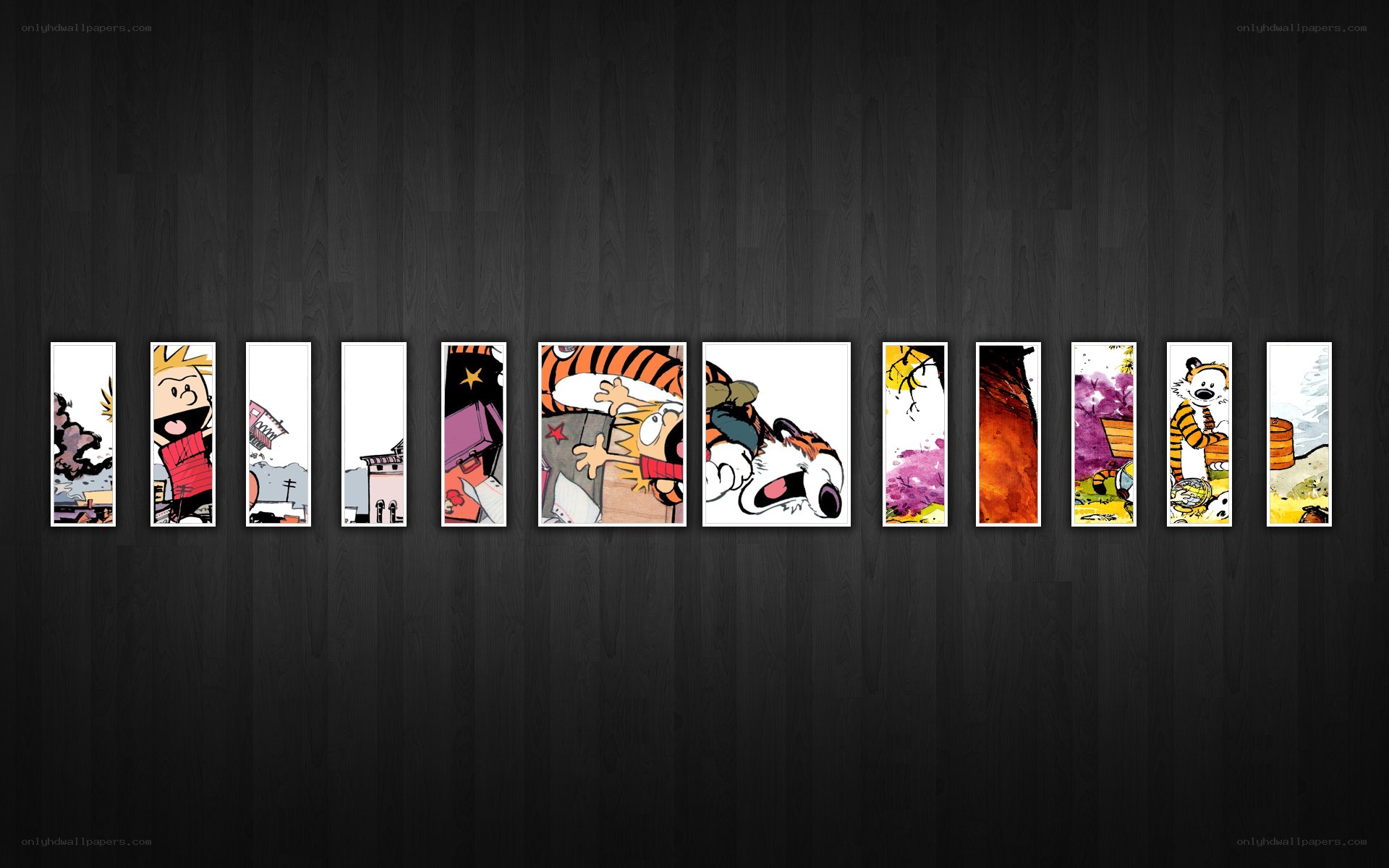 Calvin and Hobbes comic strip collection