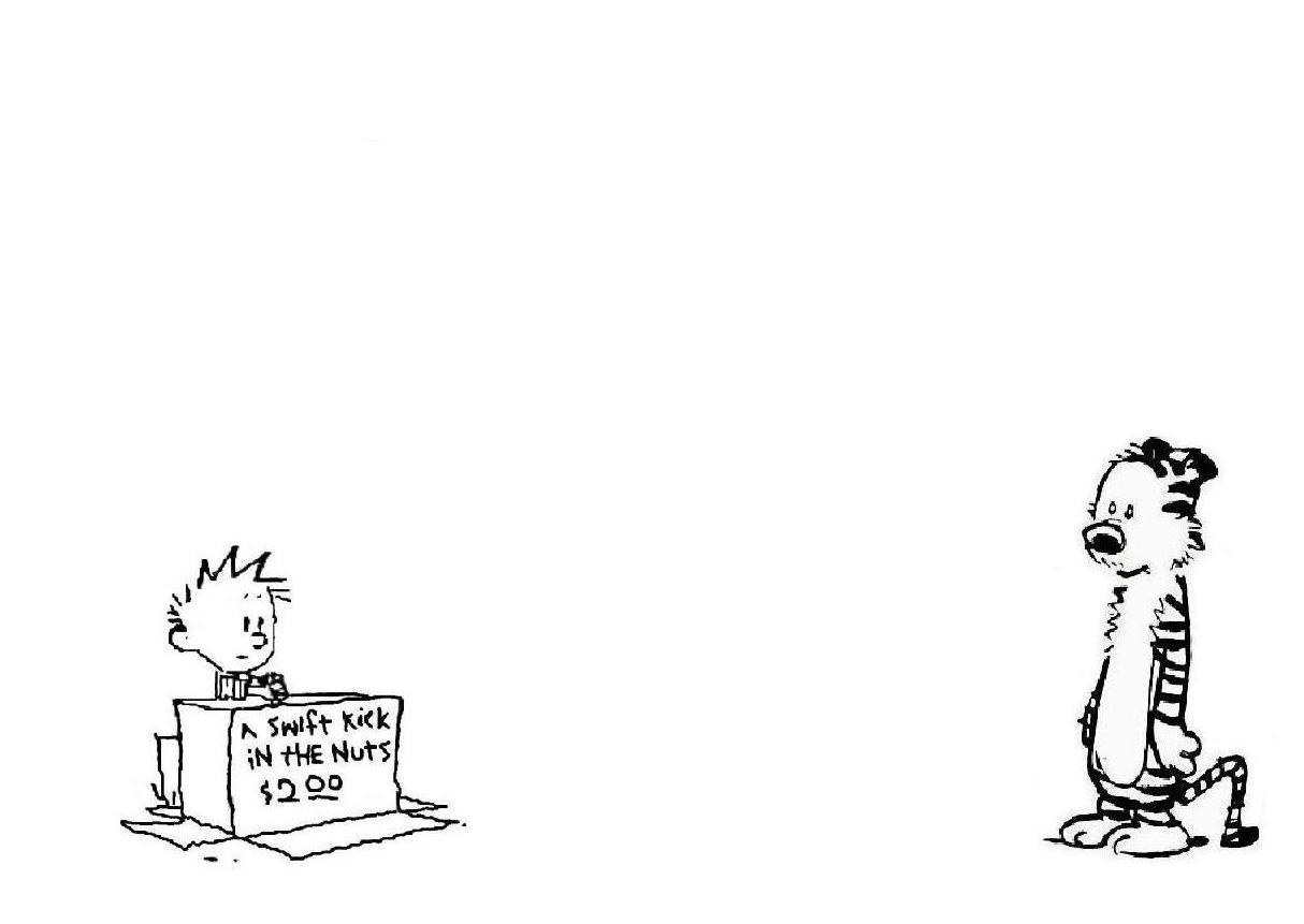 Calvin and Hobbes comic strip