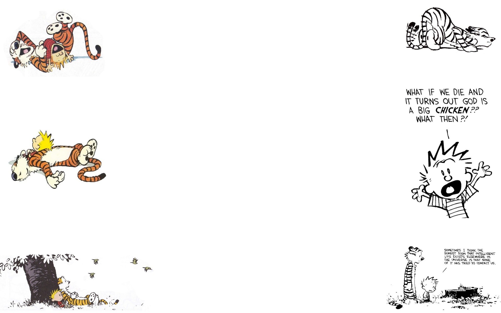 Calvin and Hobbes comic strips