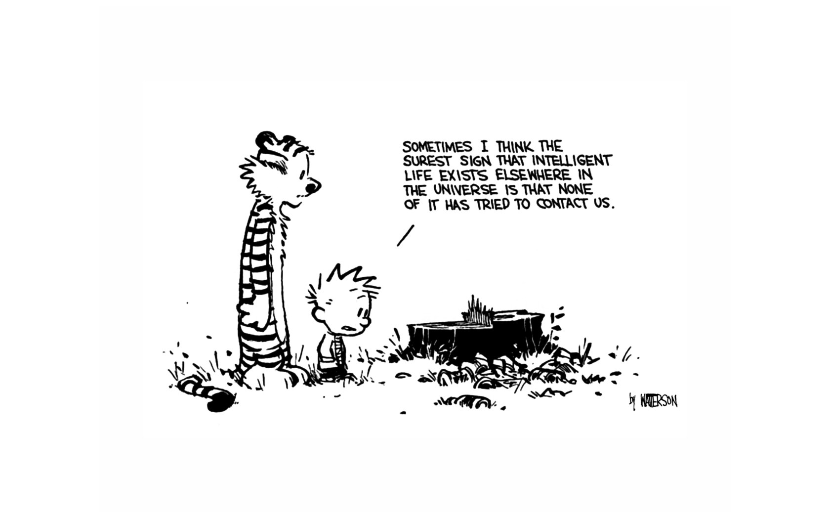 Calvin and Hobbes comic