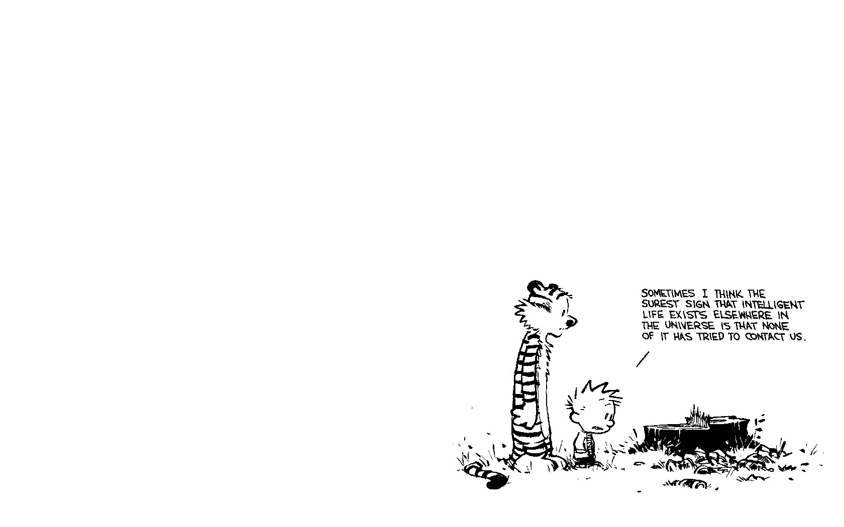 Calvin and Hobbes contemplating aliens