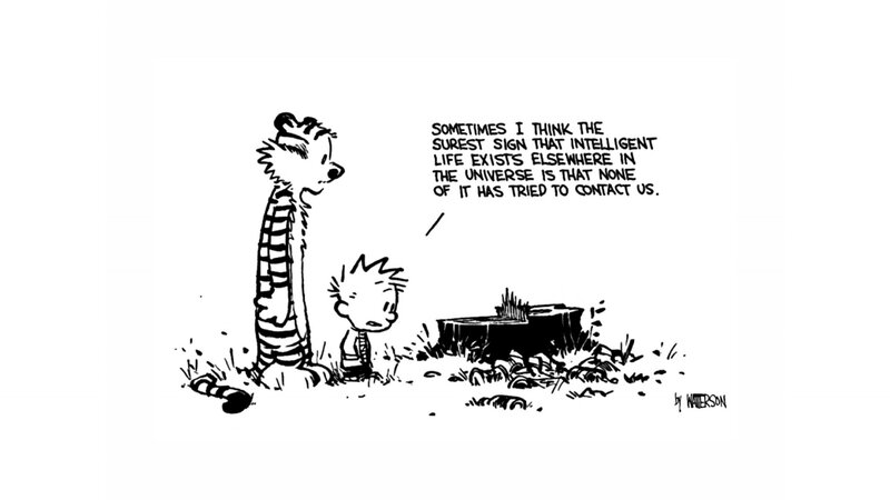 Calvin and Hobbes — Contemplative