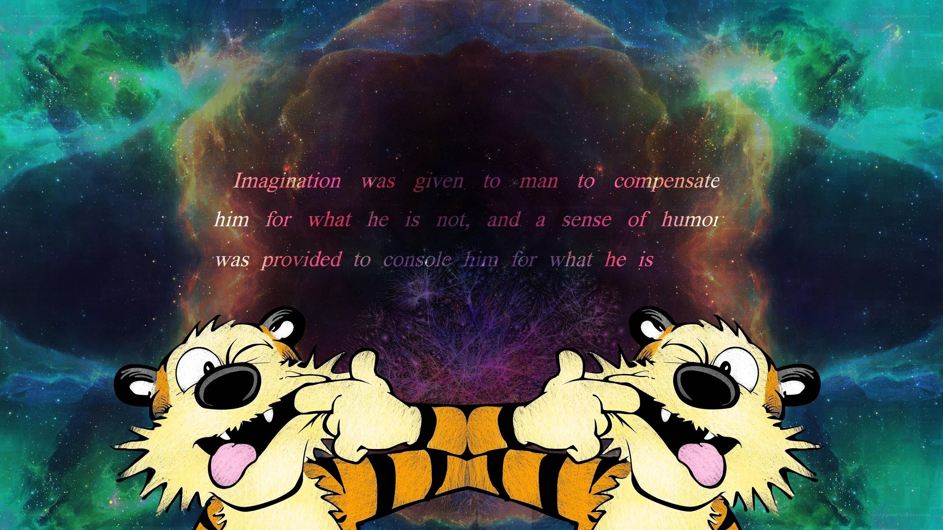 Calvin and Hobbes cosmic quote