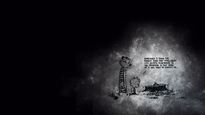 Calvin and Hobbes cosmic thought