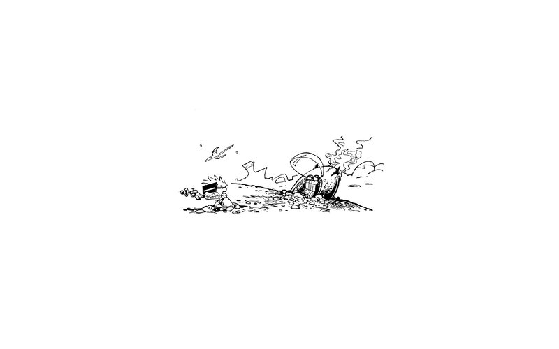 Calvin and Hobbes crash landing