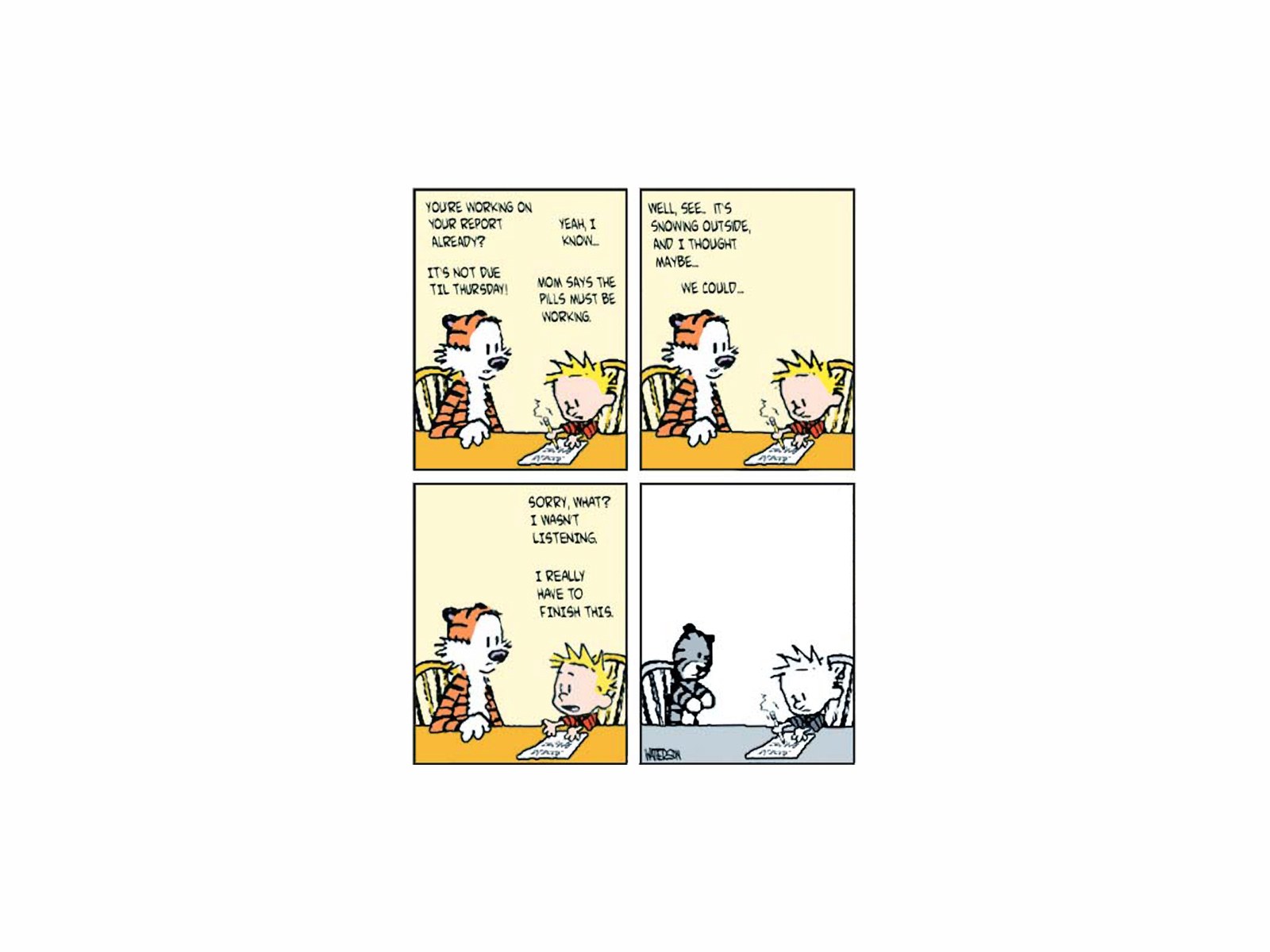 Calvin and Hobbes homework