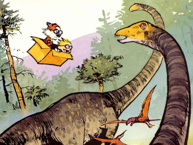 Calvin and Hobbes in a Box