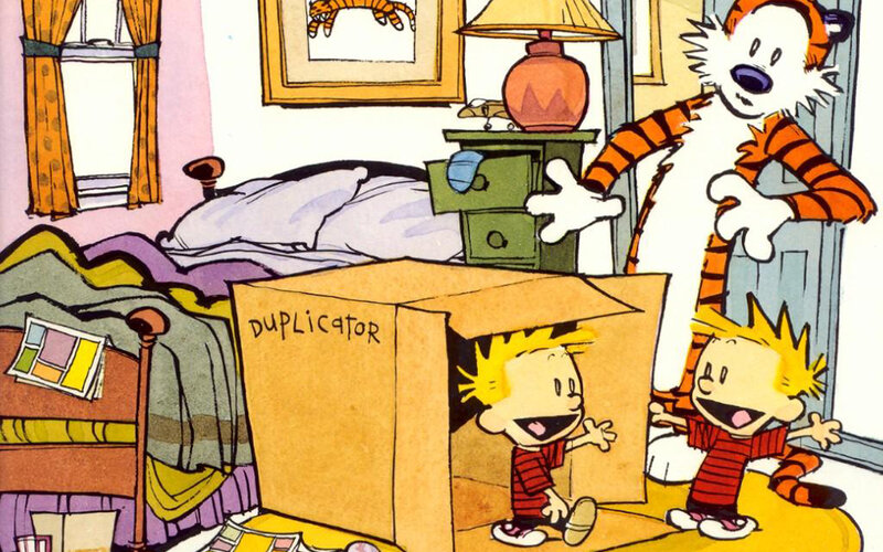 Calvin and Hobbes in a cardboard box