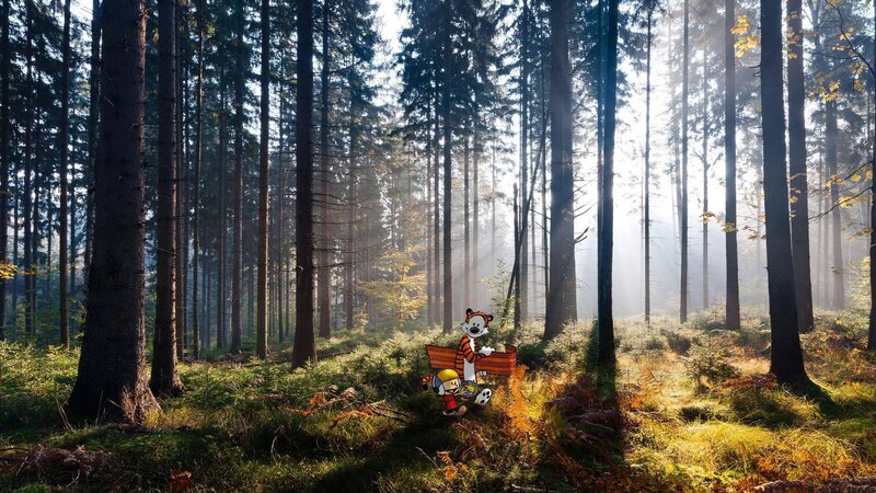 Calvin and Hobbes in a forest