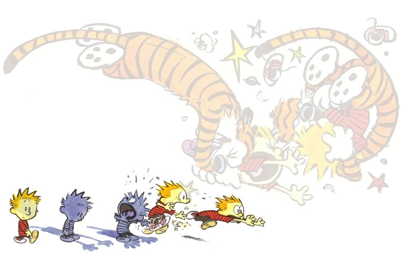 Calvin and Hobbes in action