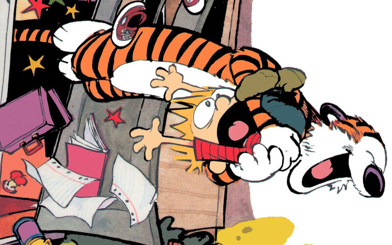 Calvin and Hobbes in chaos