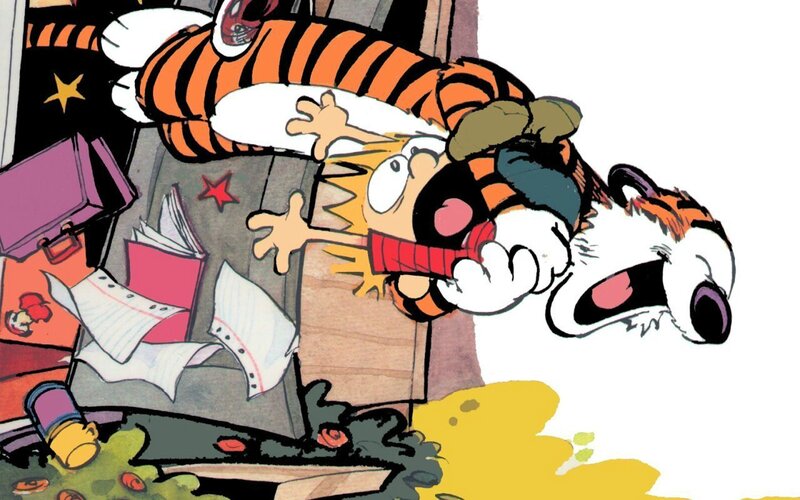Calvin and Hobbes in chaos