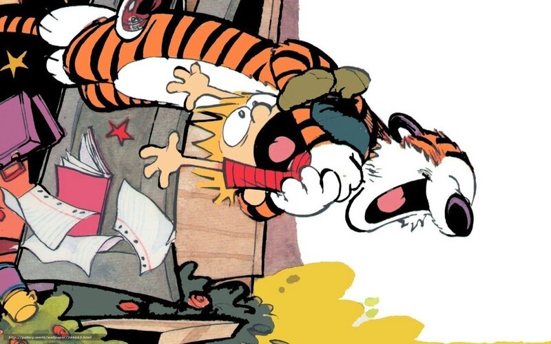 Calvin and Hobbes in chaos