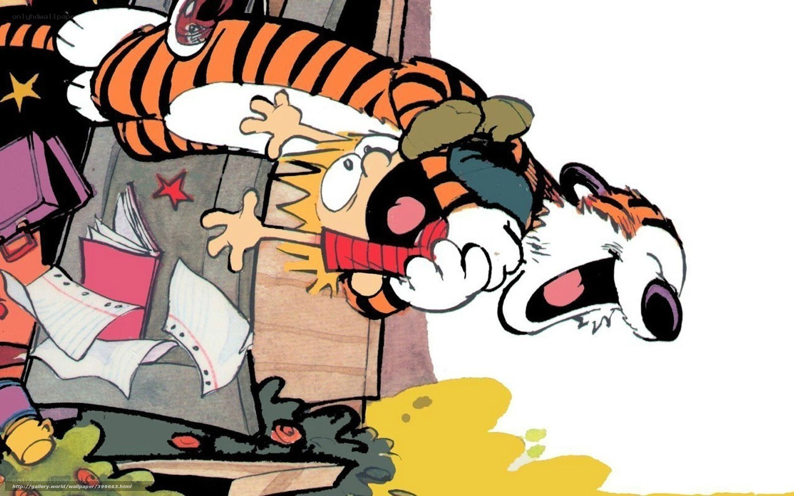 Calvin and Hobbes in chaos