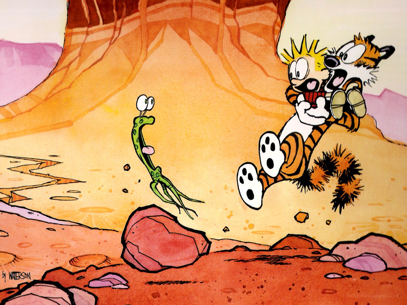 Calvin and Hobbes in desert