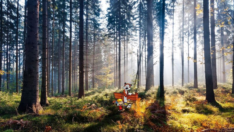 Calvin and Hobbes in Forest — Green, Serene, Morning, Digital Art