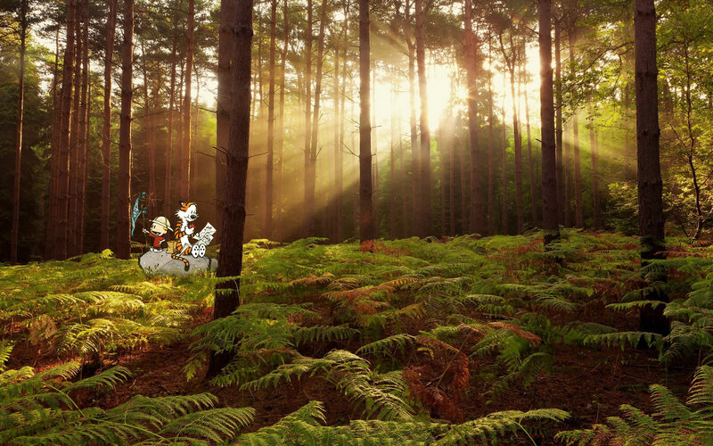 Calvin and Hobbes in Forest — Green, Serene, Morning