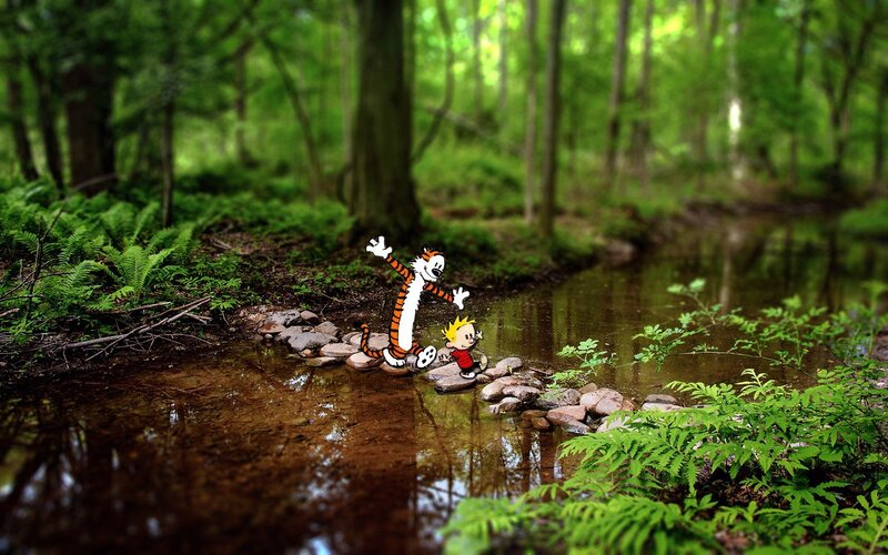 Calvin and Hobbes in Forest — Green, Serene