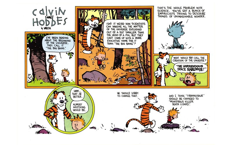 Calvin and Hobbes in Forest — Orange, Humorous