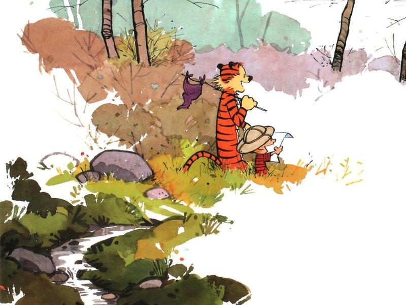 Calvin and Hobbes in Forest — Orange