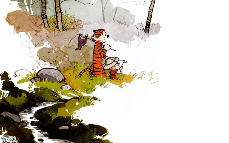 Calvin and Hobbes in Forest