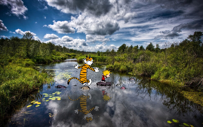Calvin and Hobbes in Marsh