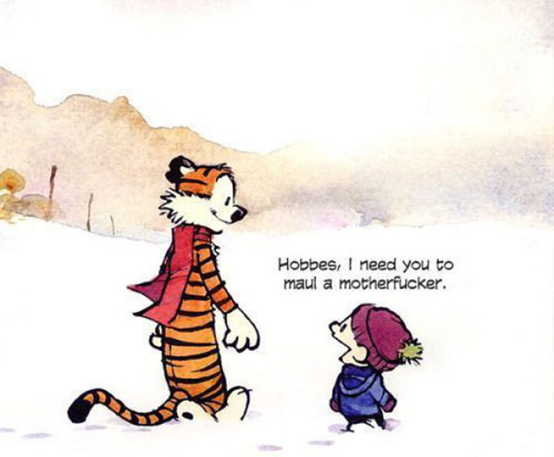 Calvin and Hobbes in snow